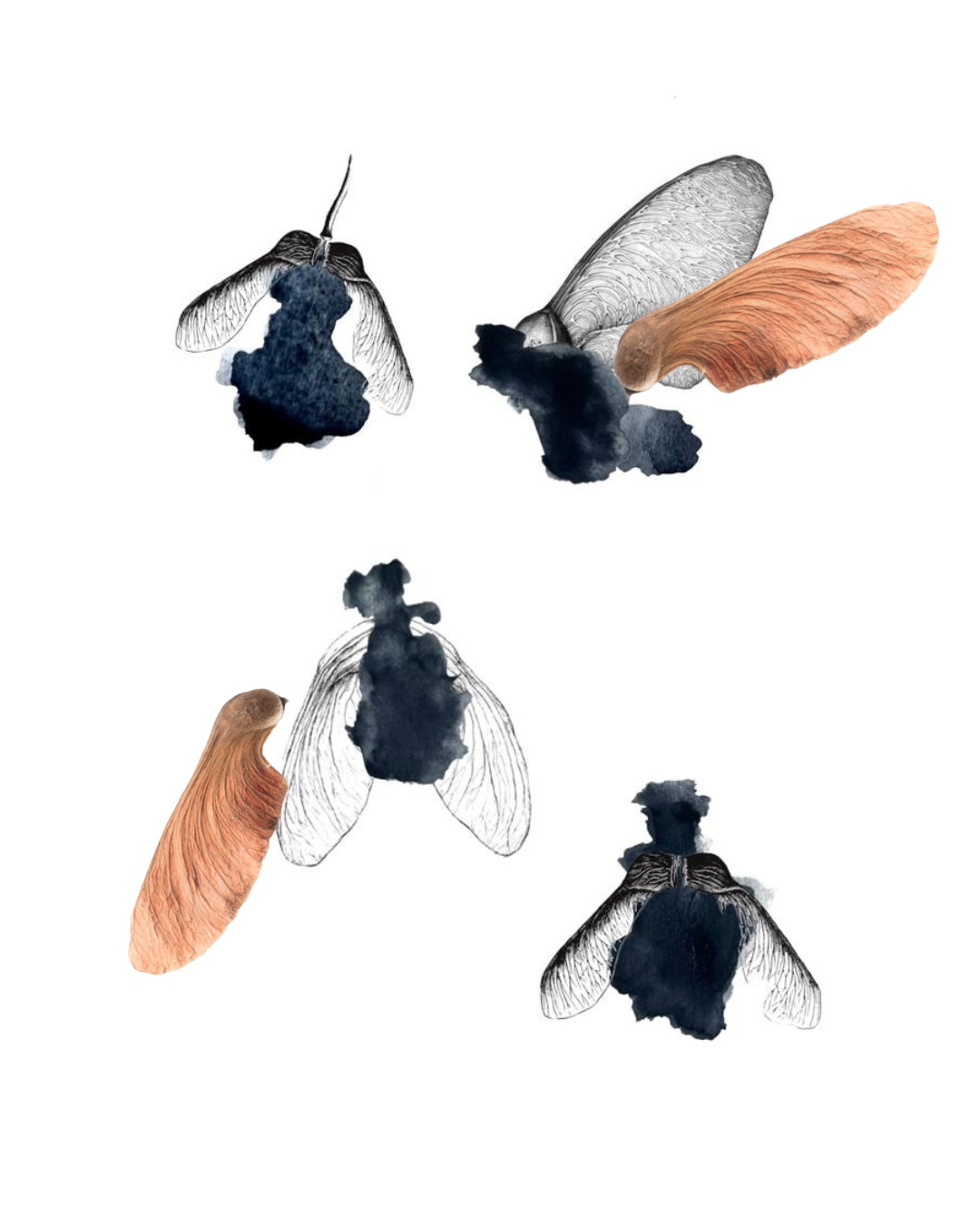 White shirt with flying bugs