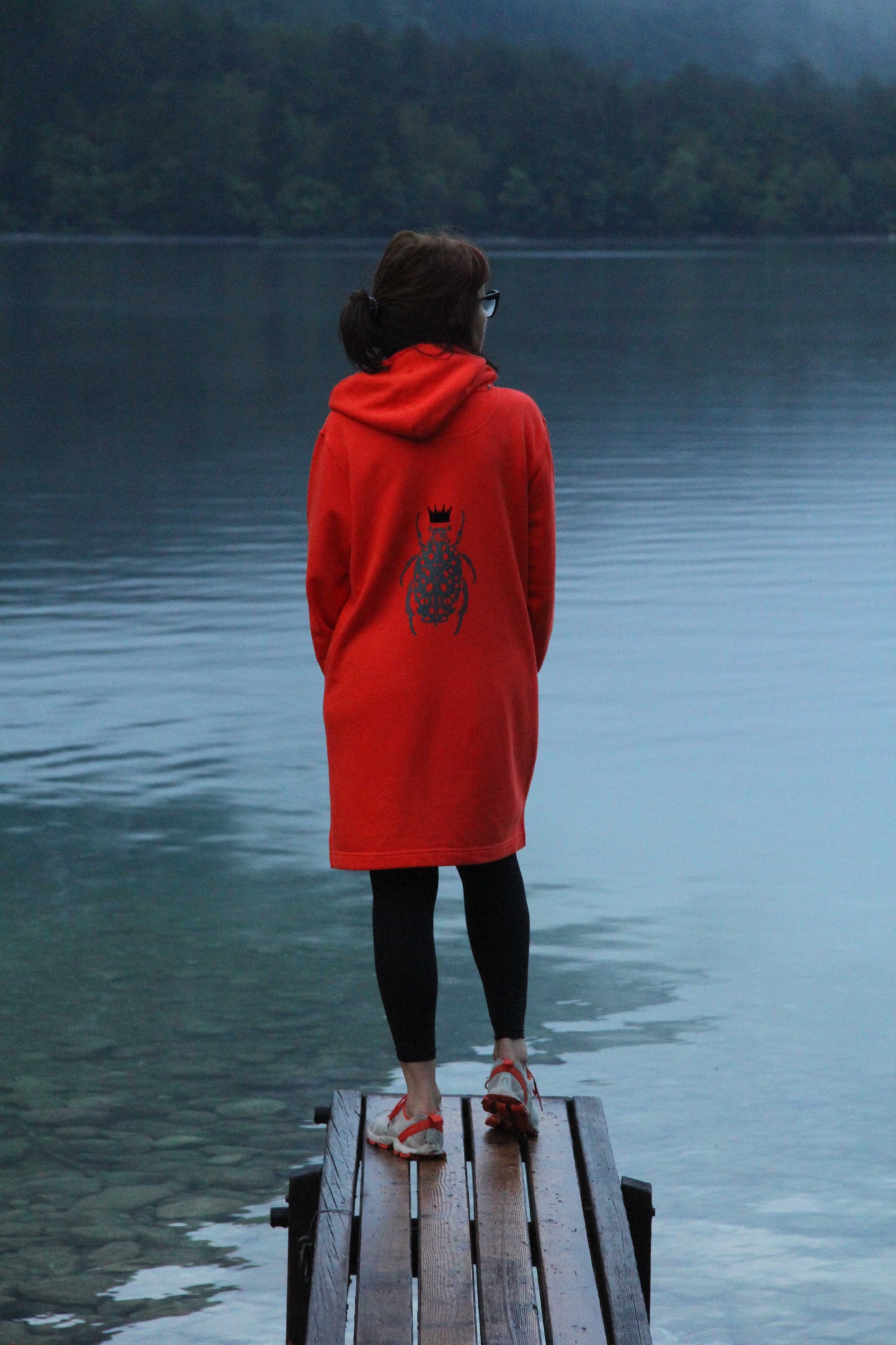 Hoodie dress with a Bug on the back