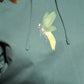 Women's Hoodie Banana