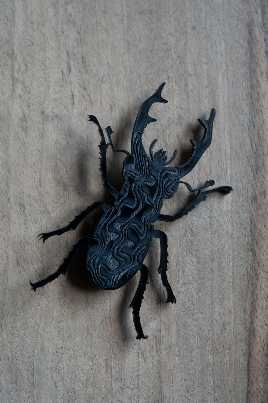 Brooch scarab  / carved surface