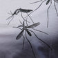 Družina komarjev - ženski ali unisex model - 120 g bombaž